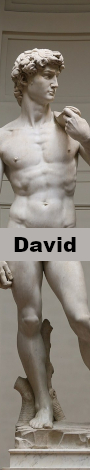 David