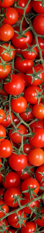 Cherry Tomatoes